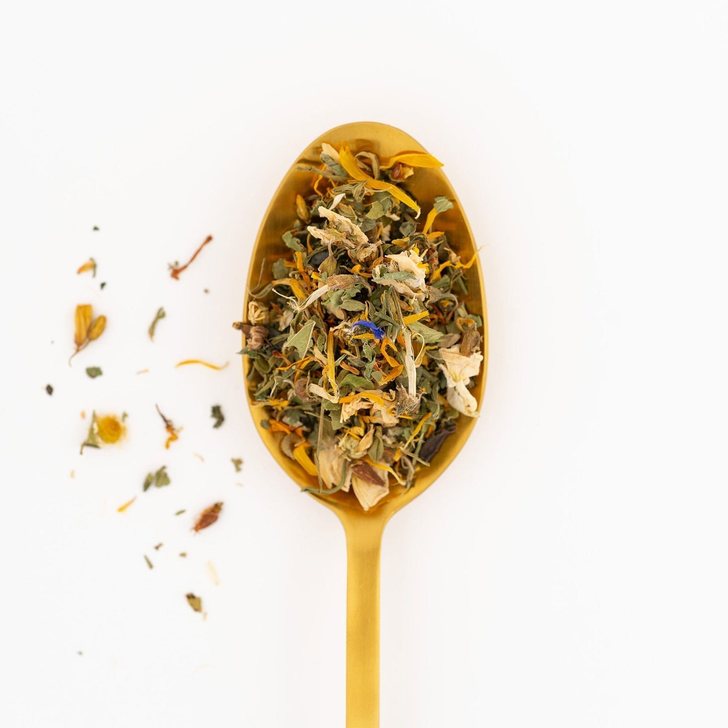 Digest - Loose Leaf