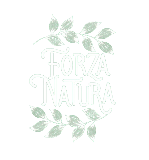 Forza Natura