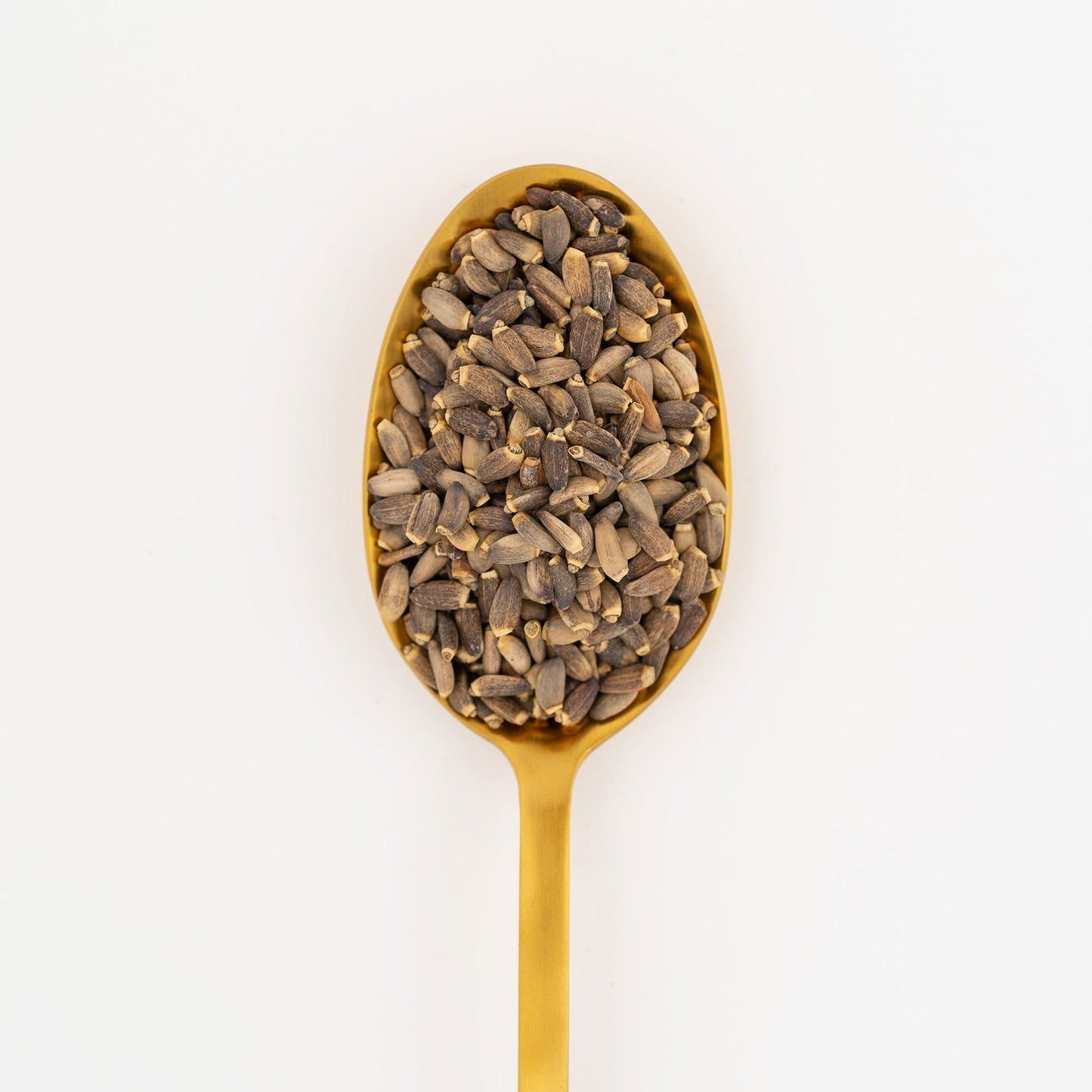 Milk Thistle - Loose Leaf